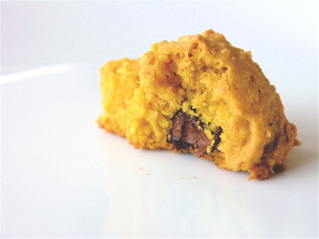 p9283733 Chocolate Chip Pumpkin Cookie
