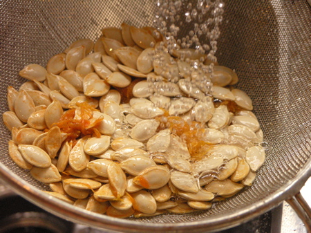 pa144139 Rinsing the Seeds