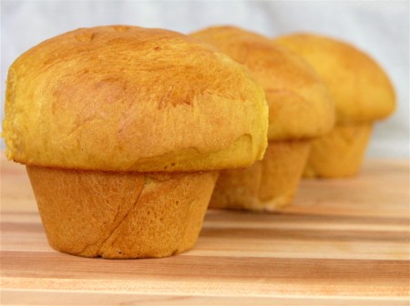 Pumpkin Yeast Rolls