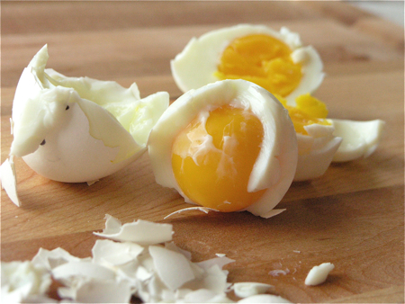 hardboiledeggdisaster