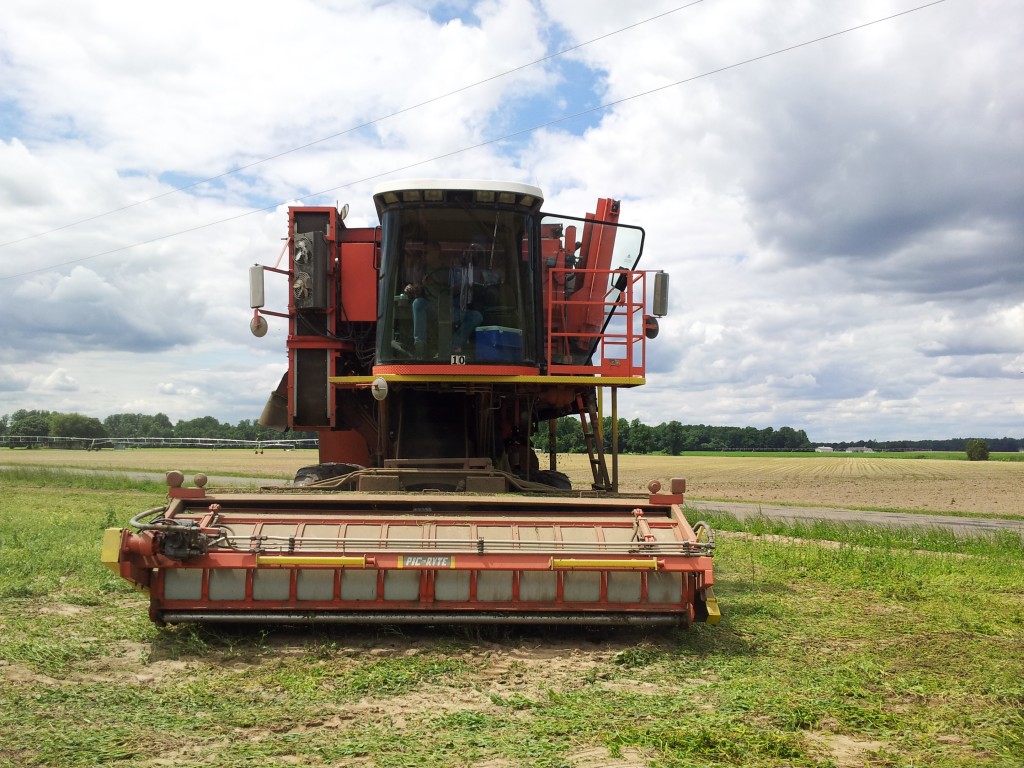 Pea Harvester