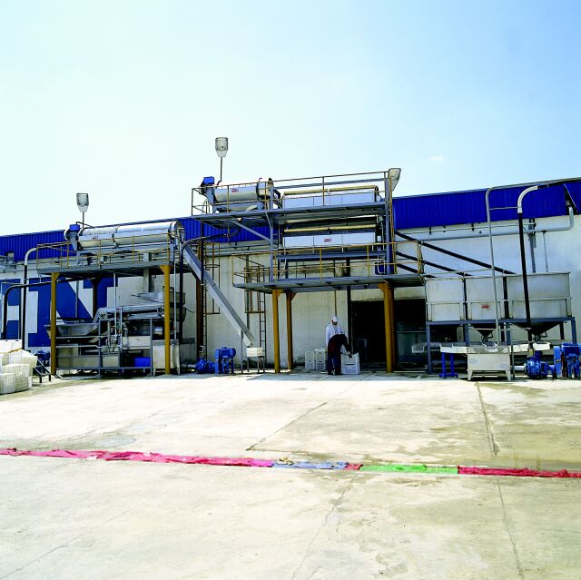 Pea Processing Line