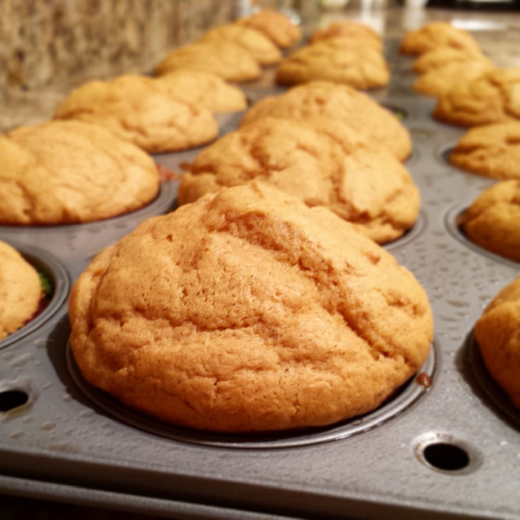 Pumpkin Spice Cupcakes